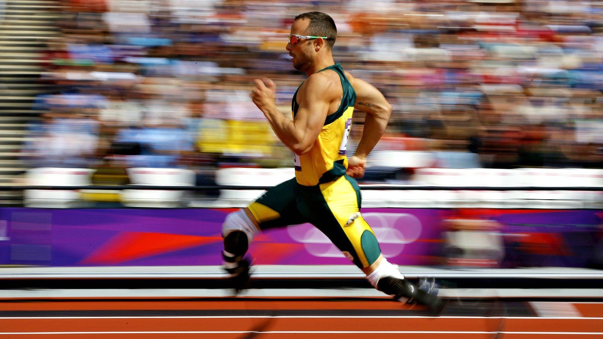 “东桃花岛:缆绳滑水让水上运动焕发新光彩”